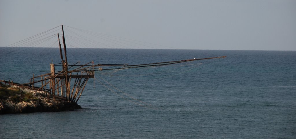 25448150-crop.jpg