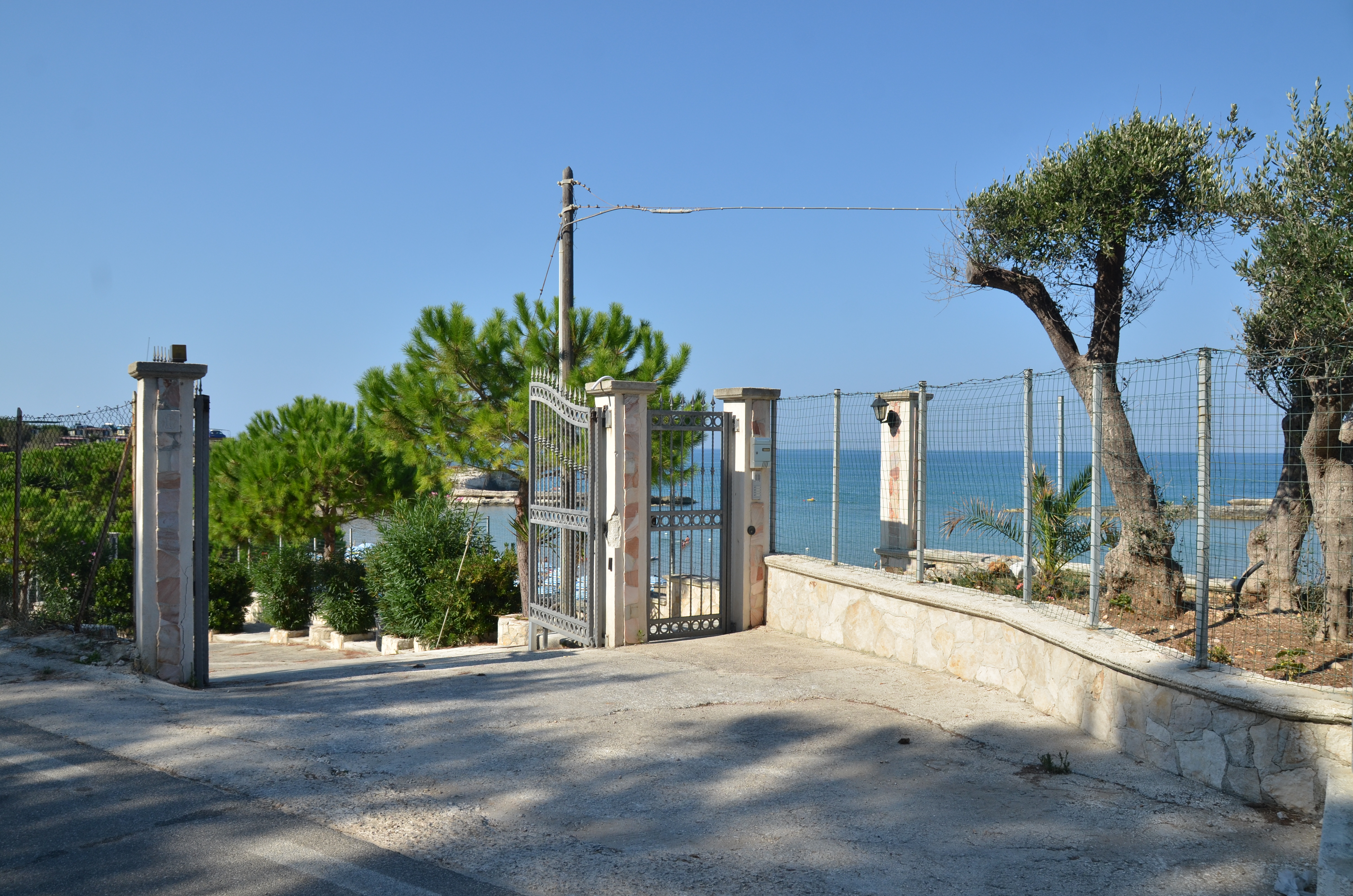 DSC_6196.JPG