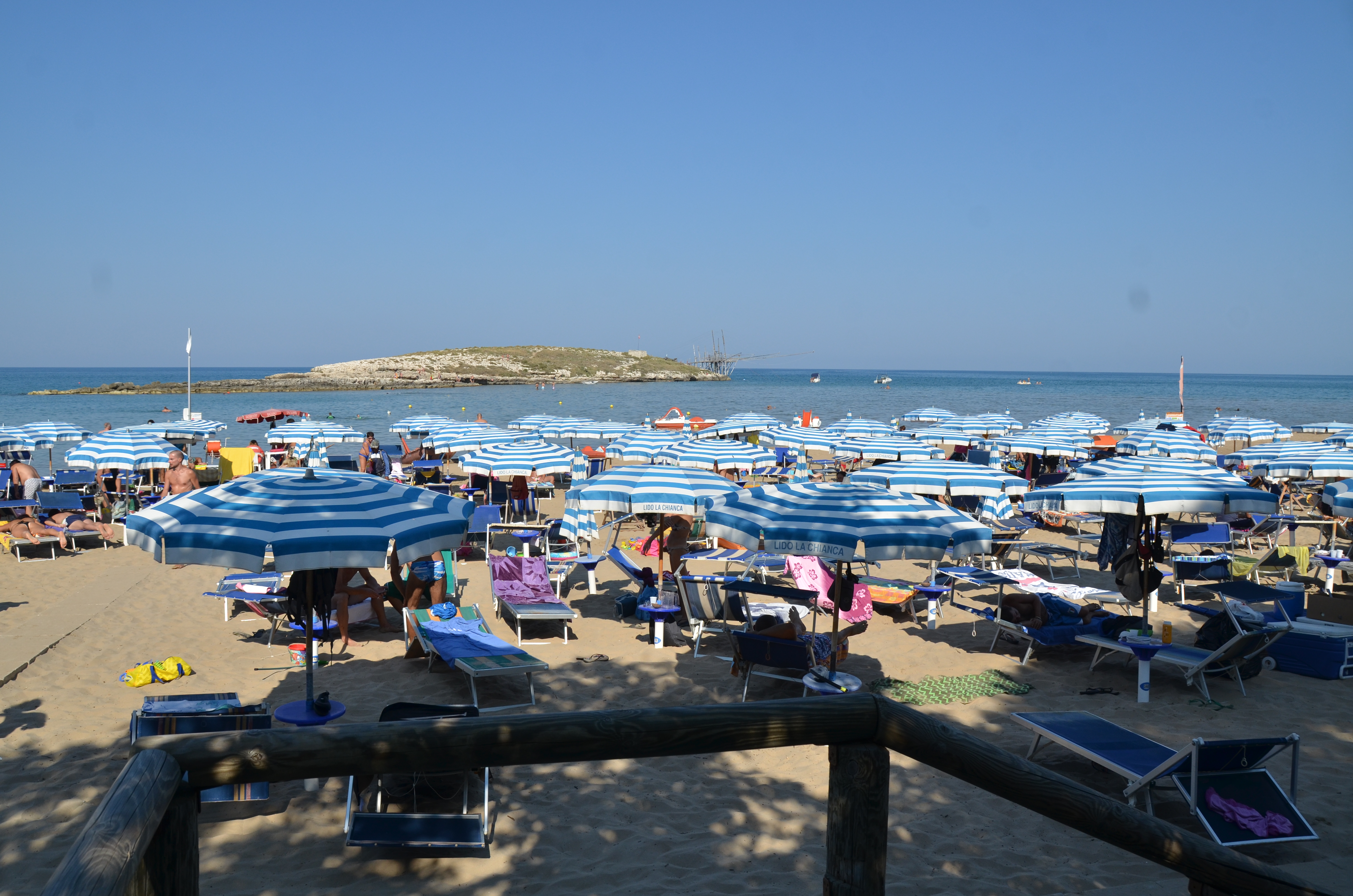 DSC_6239.JPG